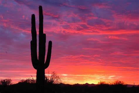 Arizona sunset